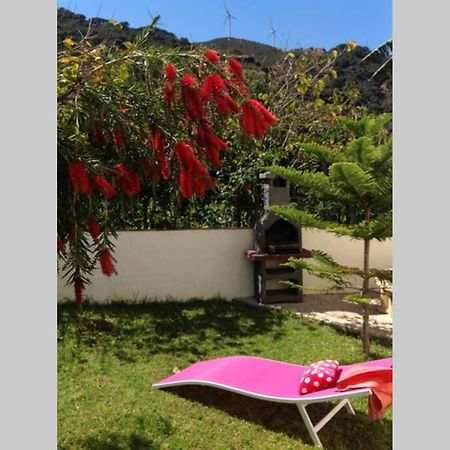 Apartment La Pena Rojo Wifi タリファ エクステリア 写真
