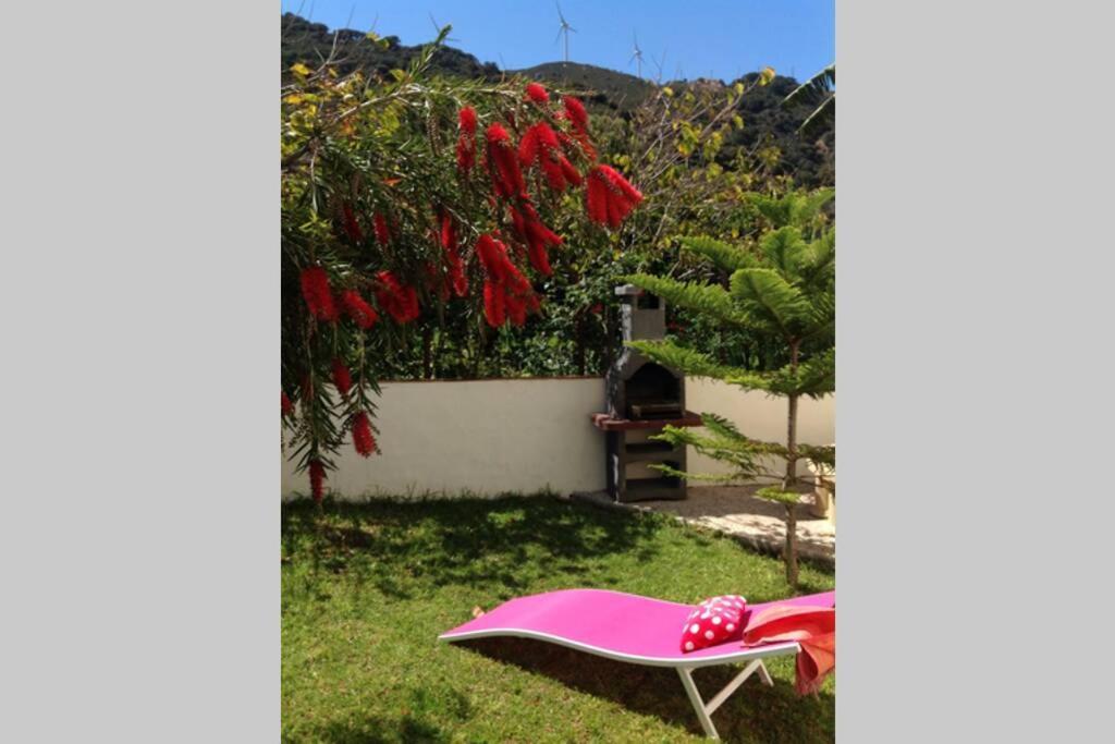 Apartment La Pena Rojo Wifi タリファ エクステリア 写真
