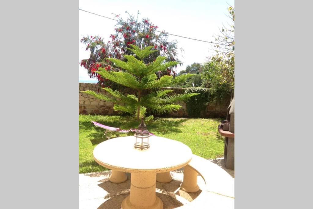 Apartment La Pena Rojo Wifi タリファ エクステリア 写真